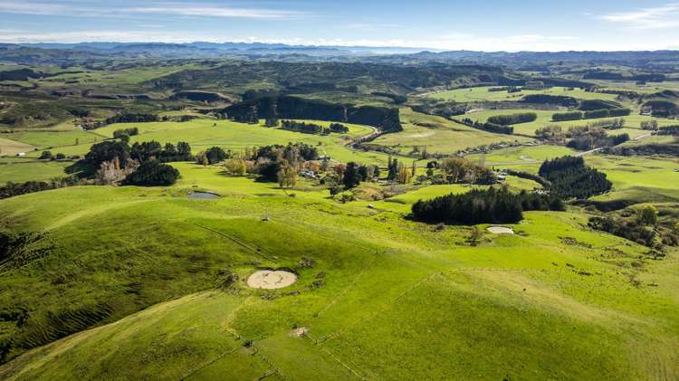 3503 Porangahau Road Porangahau_9