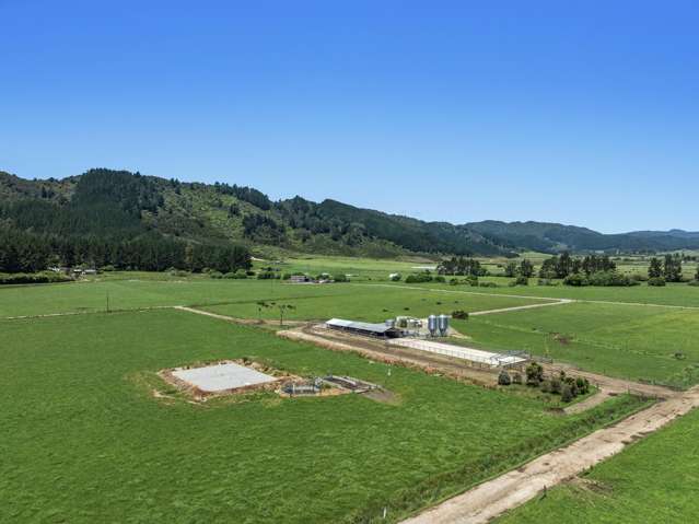 2106 Galatea Road Waiohau_1