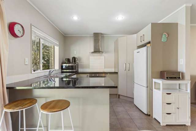 40e Jellicoe Road Panmure_4