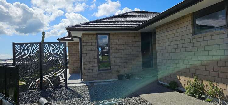 6 Parore Drive Omokoroa_2