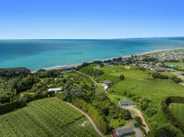 8 Thompson Road Opotiki and Surrounds_1