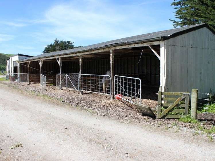 247 Mataura Island Road Wyndham Surrounds_12