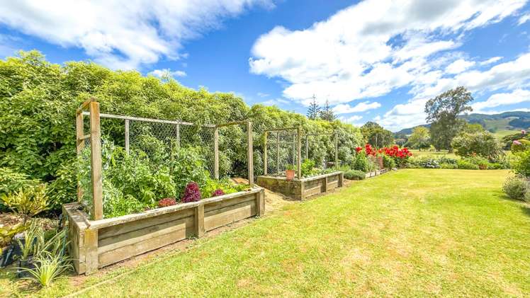 9538 Paeroa Kopu Road Thames_19