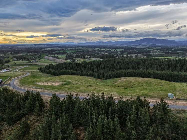 17 Mission Downs Lane_3