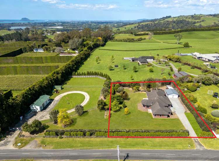 407 Youngson Road Whakamarama_7