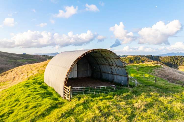 98 Rowland Road Dargaville Surrounds_6