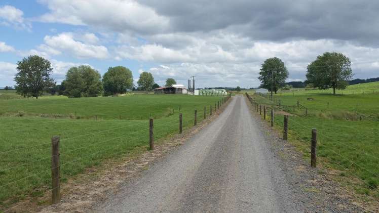 851 Hutchinson Road Morrinsville_12