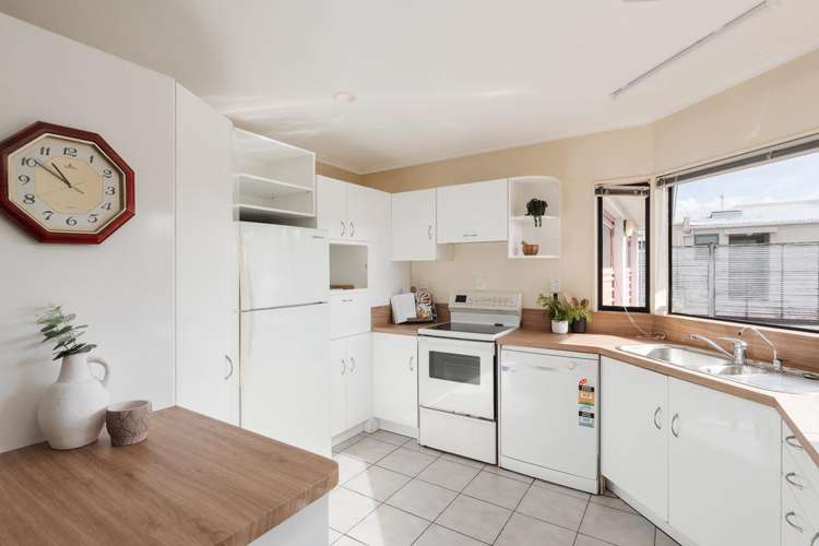 456B Devonport Road Tauranga South_8