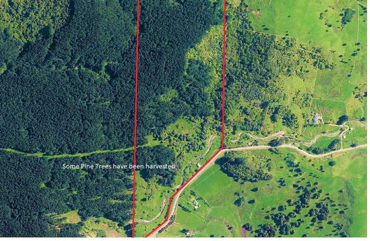 Wekaweka Road Waimamaku_32