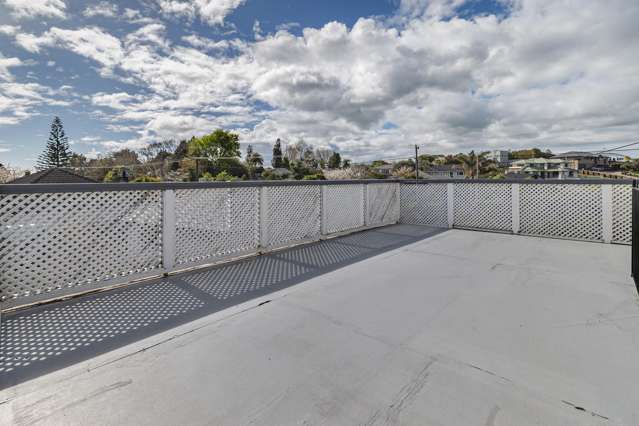 31 Kawiu Road Levin_1