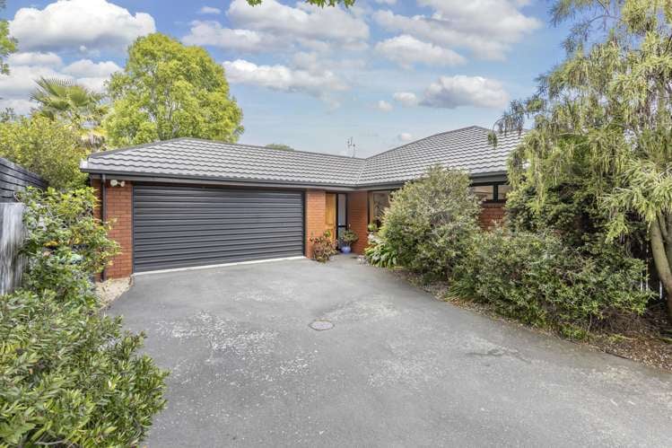 113B Somerfield Street Somerfield_17