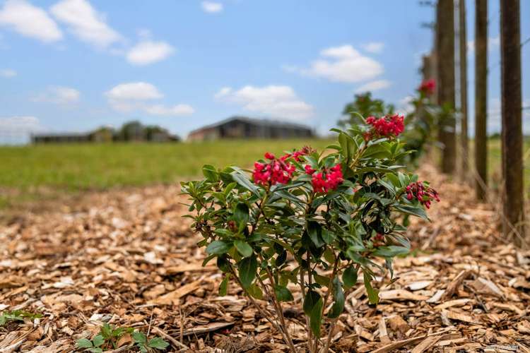 16 Parker Lane Buckland_6