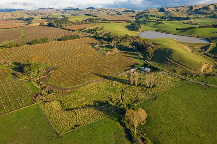 156 Castles Road Seddon_13