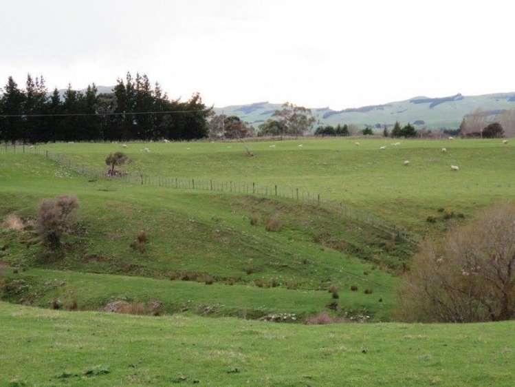 769 State Highway 2 Opaki_6