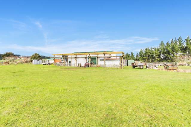 251 Klondyke Road Onewhero_4