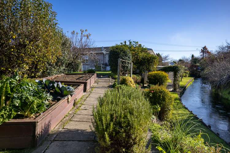 12 Colemans Road Springlands_15