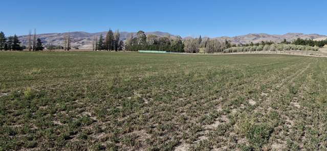 69 Thomson Gorge Road Tarras_4