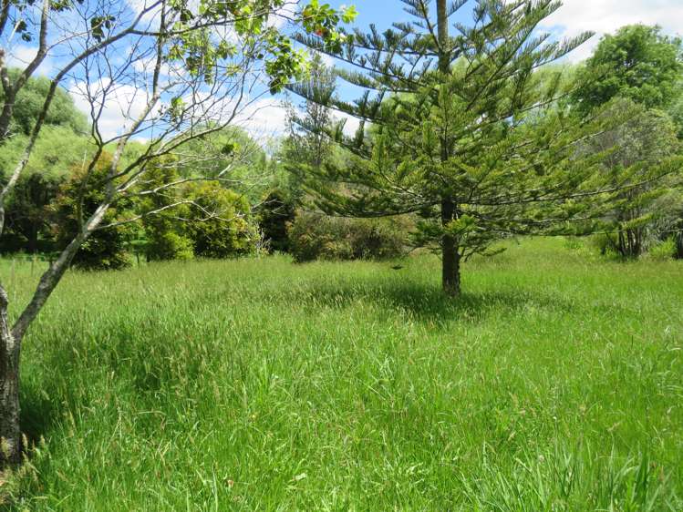 605 Whakapirau Road Whakapirau_14