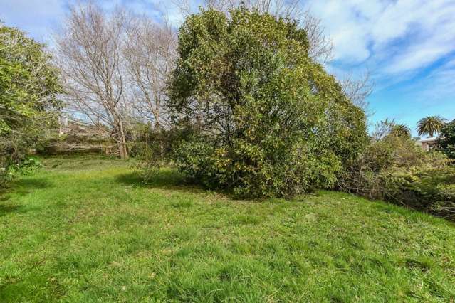 24a Mellsop Avenue Waiuku_3