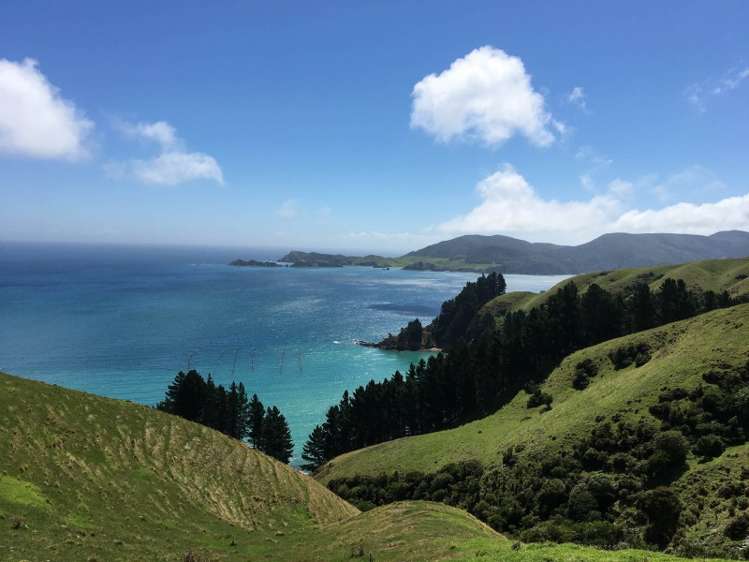 5193 Croisilles-French Pass Road Marlborough Sounds_17