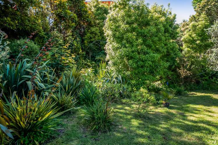 36e Gaine Street New Plymouth_4