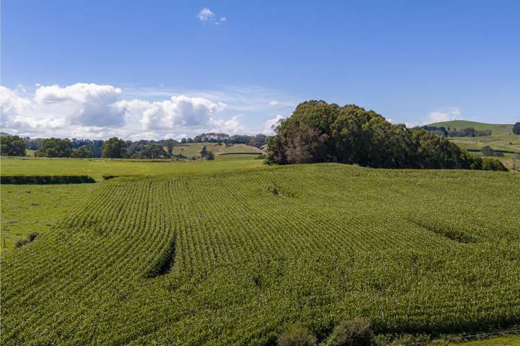 Lot 2/4/366 Karapiro Road Karapiro_14