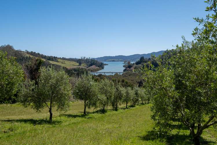 125b Frantoio Ridge Road Mangonui_27