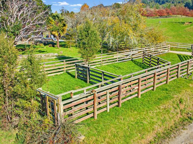 314 Thorpe-Orinoco Road Ngatimoti_25