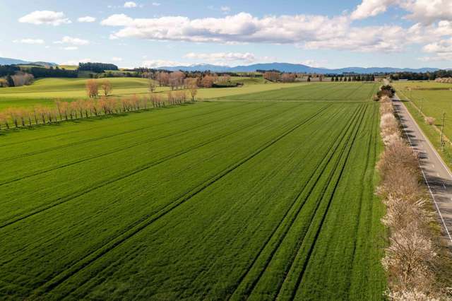 Rowallan Road Darfield_4