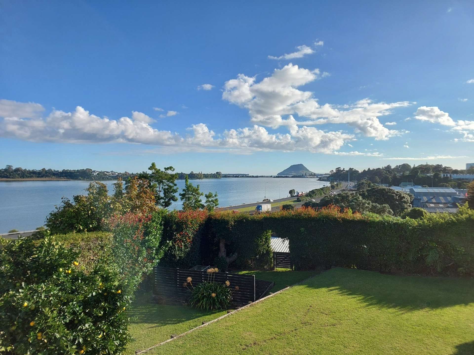 113 Fourth Avenue Tauranga Central_0