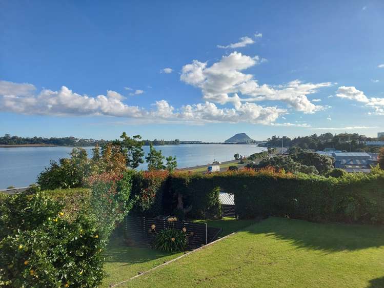 113 Fourth Avenue Tauranga Central_0