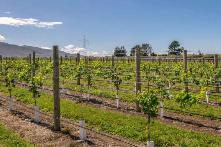 101 Flaxmill Drive Rarangi_29