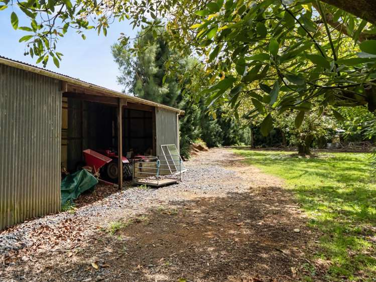 261 Wainui South Road Whakamarama_34