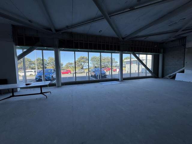 Ground/81 The Esplanade Petone_2