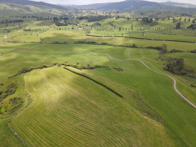 231B Morgan Road Matamata_21