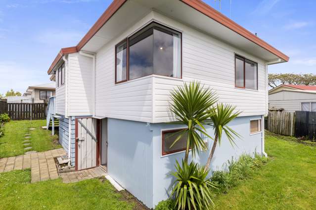 33b No 3 Road Te Puke_1