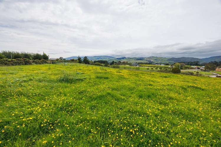 65 Harrisons Line Ashhurst_25