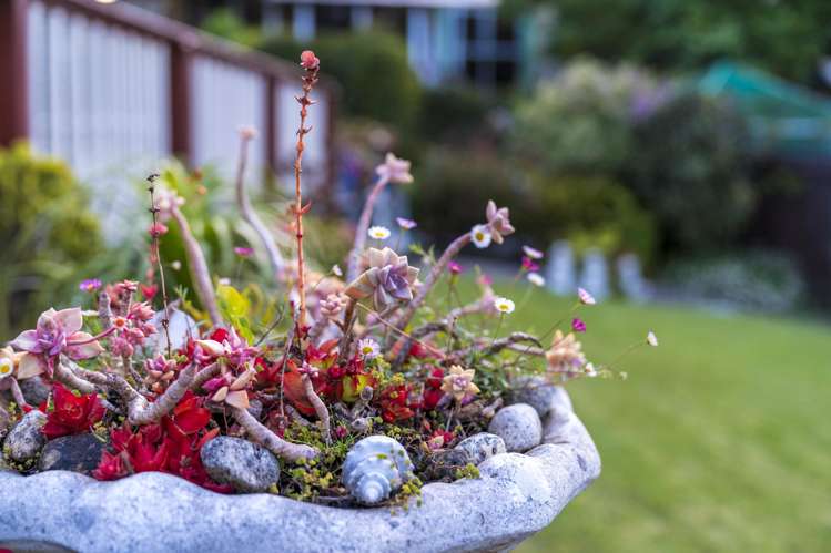 20 Muscat Place Henderson_24