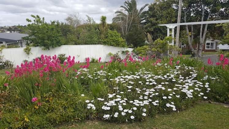 24 Salem Place Torbay_18