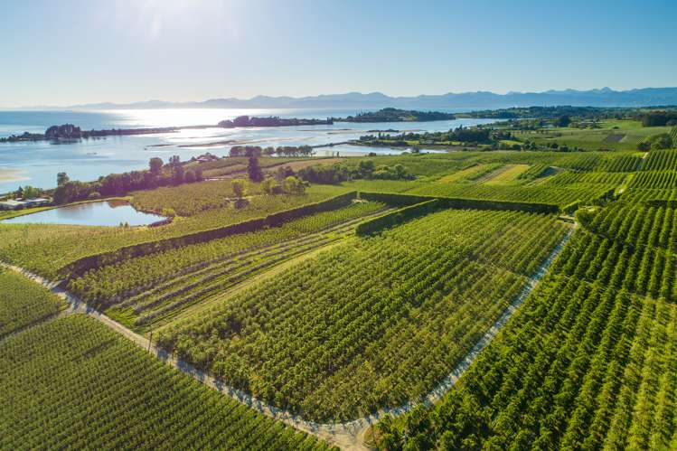 2201 The Coastal Highway Tasman_3