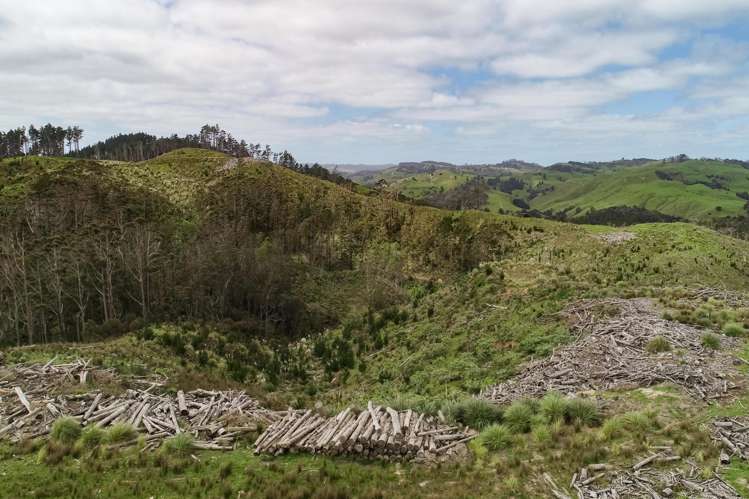 3716 Kaipara Coast Highway Mangakura_15