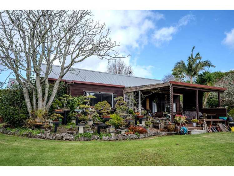 47 Orchard Road Kerikeri_9