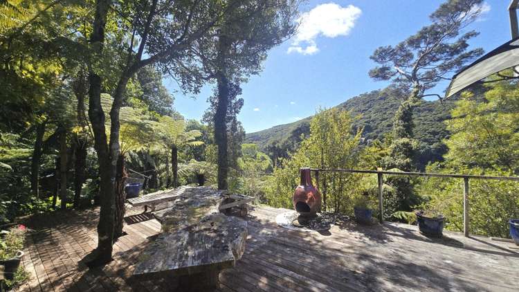 Lot 135/DP4961 North Cove_5