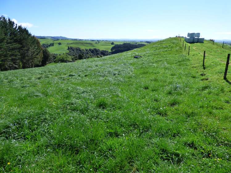 2229 State Highway 31, Kawhia Road Otorohanga_17