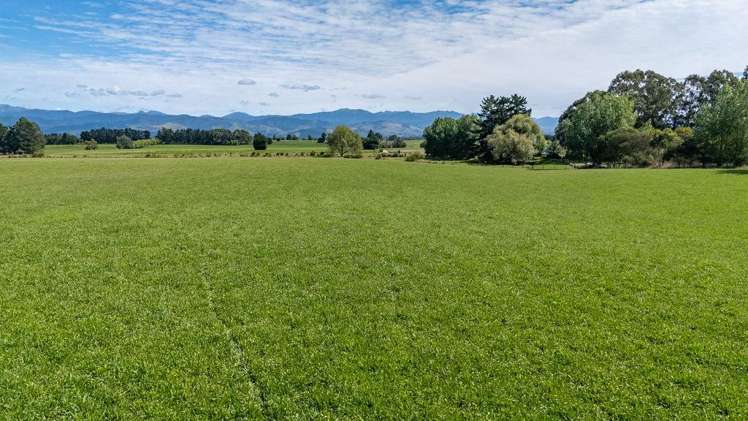 220 Tiffin Road Carterton_12