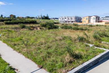 20 Mairehau Street_3