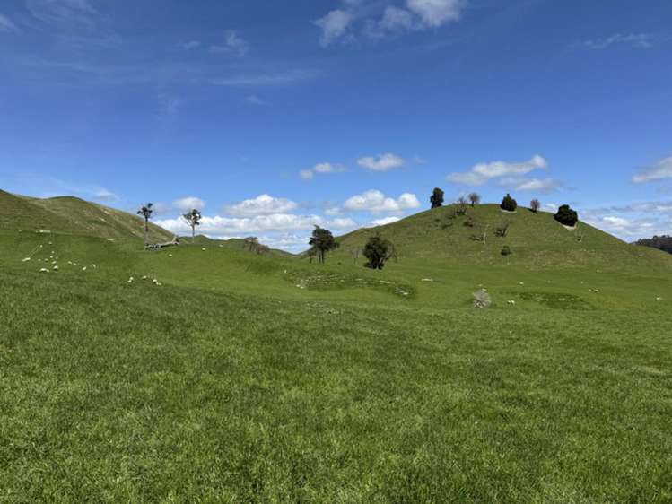 169 Owhakura Road Taihape_12