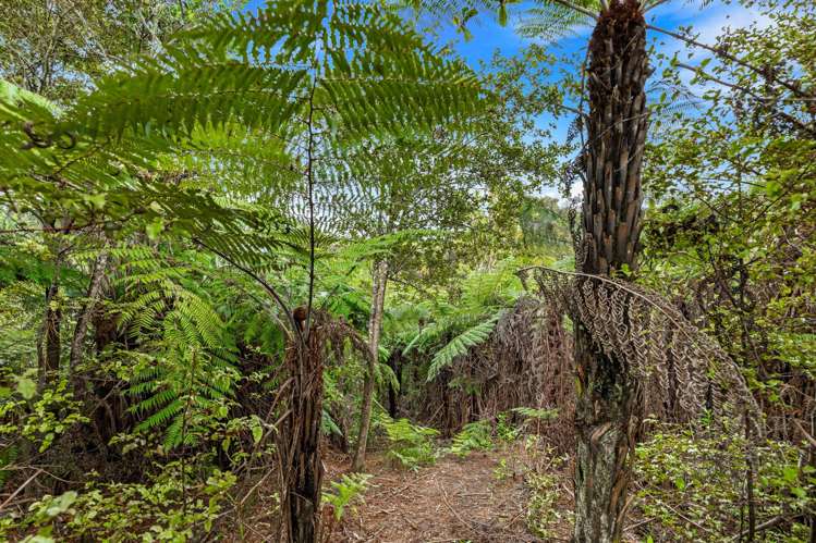 75 Glenvar Ridge Road Long Bay_24