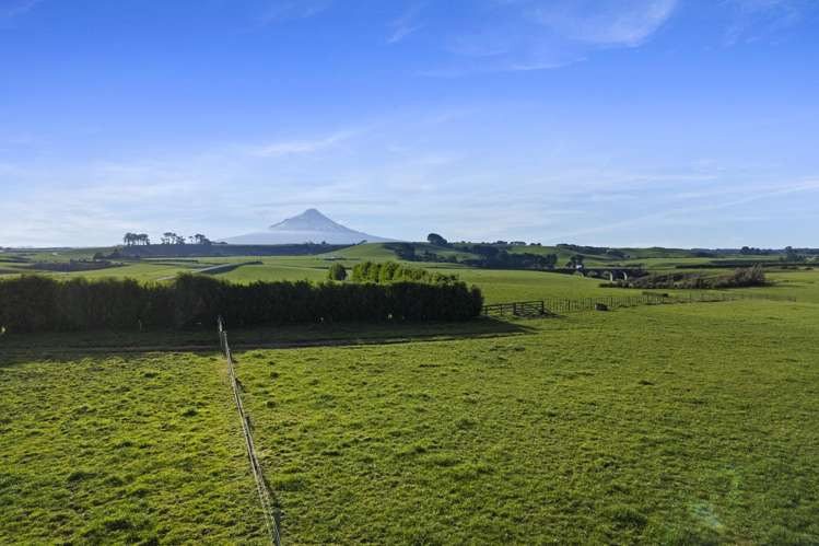 0n Skeet Road Te Roti_14