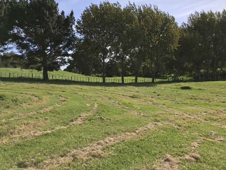 3064 Awhitu Road Awhitu_8